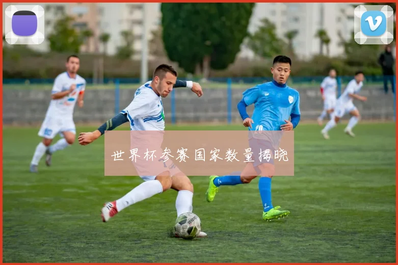 世界杯参赛国家数量揭晓