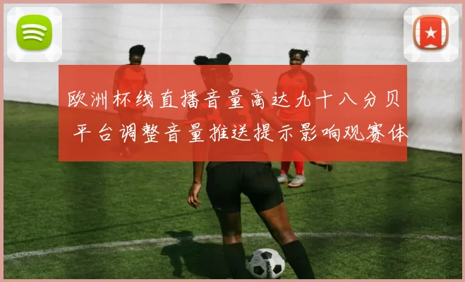 欧洲杯线直播音量高达九十八分贝 平台调整音量推送提示影响观赛体验