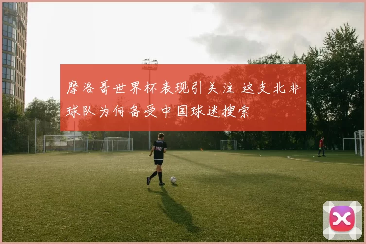 摩洛哥世界杯表现引关注 这支北非球队为何备受中国球迷搜索