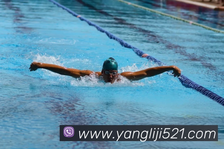 bobapp官网下载ios(中国)有限公司 - 官网平台生态图