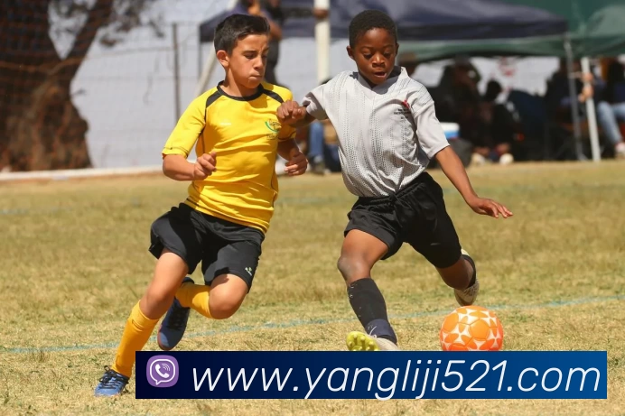 辅助工具 辅助工具